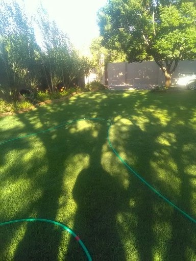 4 Bedroom Property for Sale in Senekal Free State